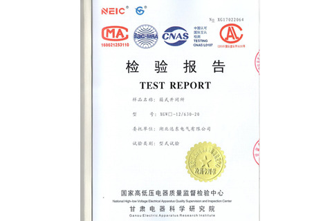 箱式開閉所檢驗報告