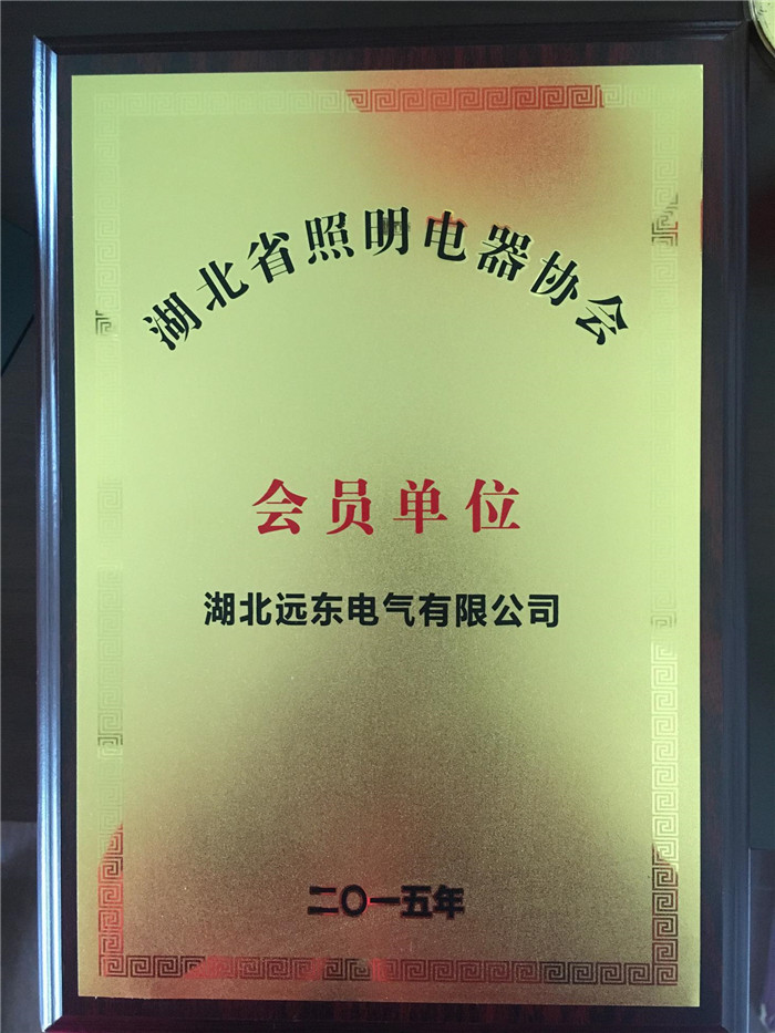遠東電氣——湖北省照明電器協會會員單位