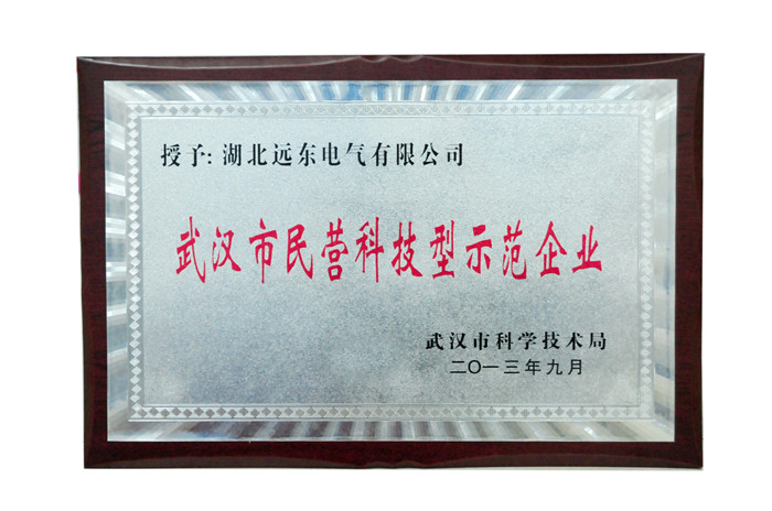 武漢市民營科技型示范企業
