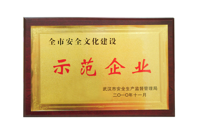 全市安全文化建設 示范企業